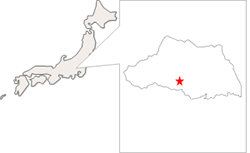 埼玉県飯能市地図
