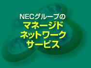 NECグループのマネージドネットワークサービス