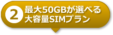 【2】最大50GBが選べる大容量SIMプラン